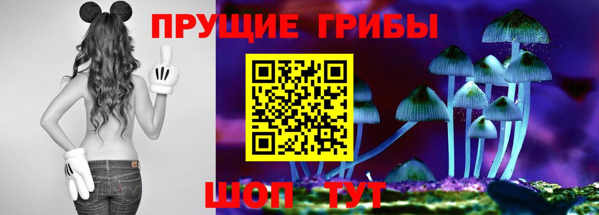 Галлюциногенные грибы прущие грибы Черногорск