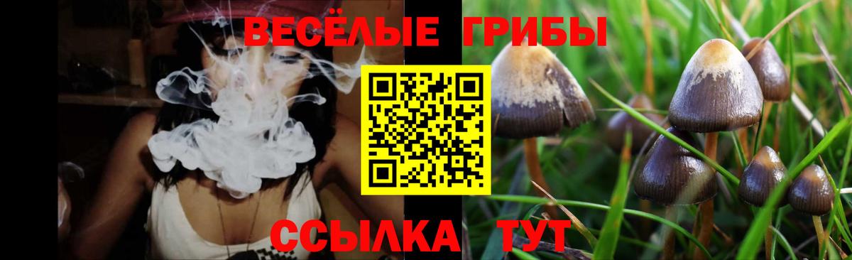 Галлюциногенные грибы Psilocybine cubensis  Псилоцибиновые грибы мухоморы  где купить наркоту  Вход с VPN  Черногорск 